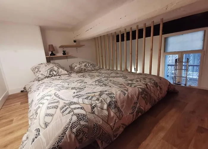 Centre - Au Coeur De L'ecusson Apartment *